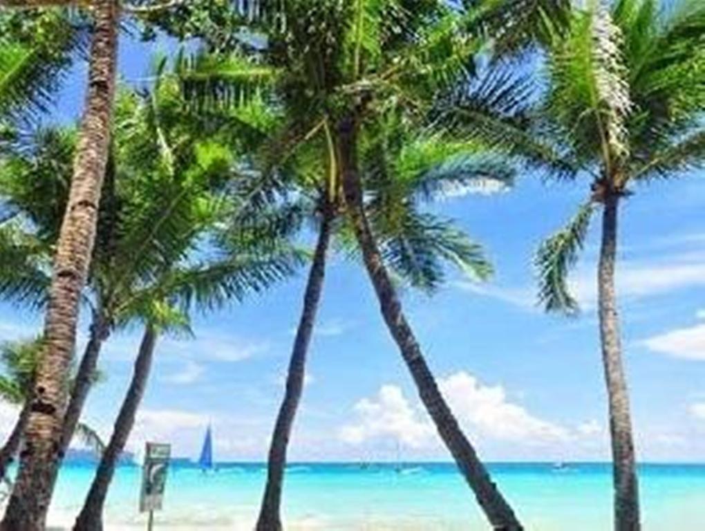 Boracay Coco Huts Otel Balabag  Dış mekan fotoğraf